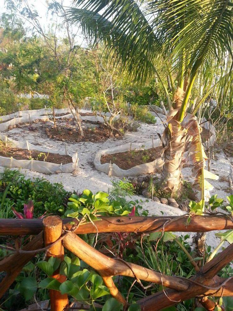 Blatha Tropical Rooms Holbox Eksteriør bilde