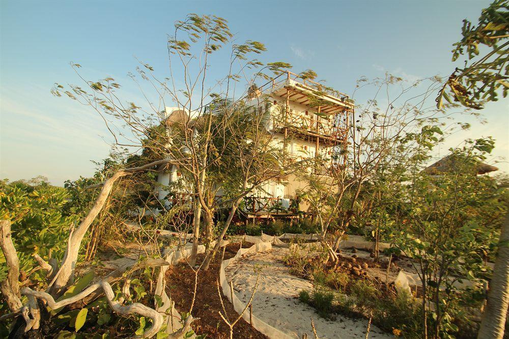 Blatha Tropical Rooms Holbox Eksteriør bilde